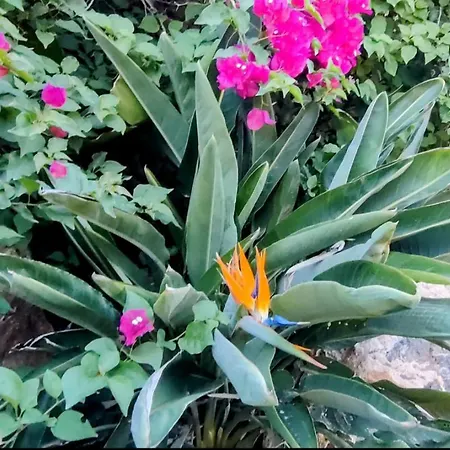 Villa En La Manga del Mar Menor