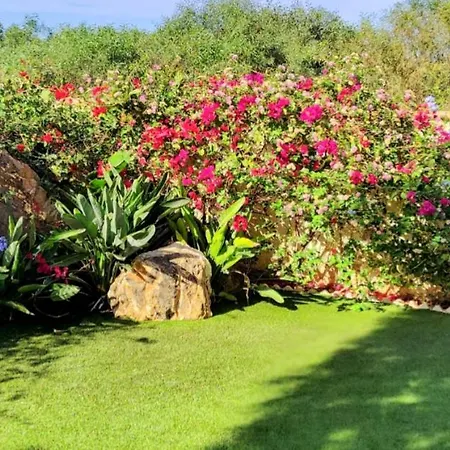 فيلة En لا مانغا ذيل مار مينور