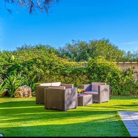 فيلة En لا مانغا ذيل مار مينور